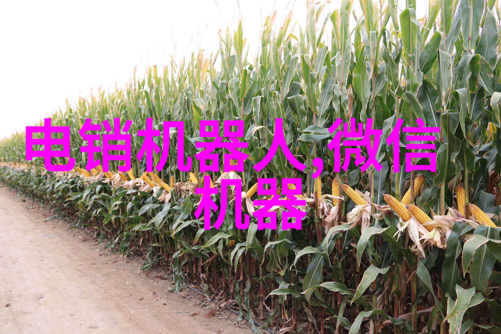 美的集团成立包头市美的智慧家居有限公司