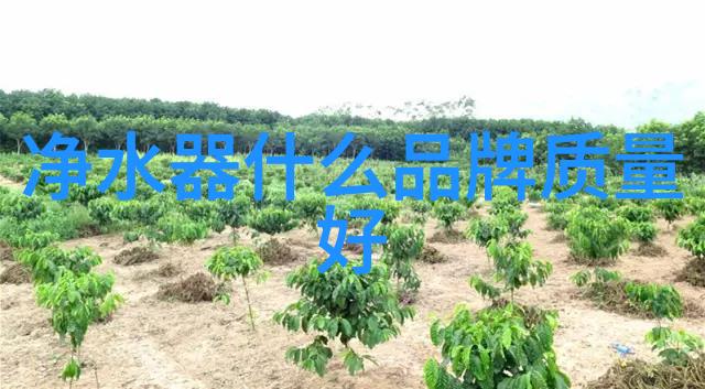 NFFC-LGN 全调型节流阀