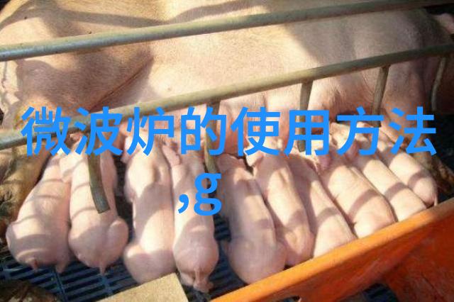溶气式气浮机7