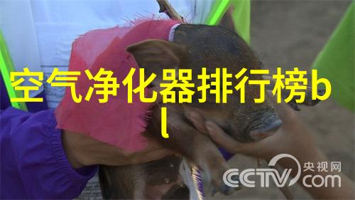 农村污水处理设备2